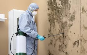 Mold Remediation for Vacation Homes in Shrub Oak, NY